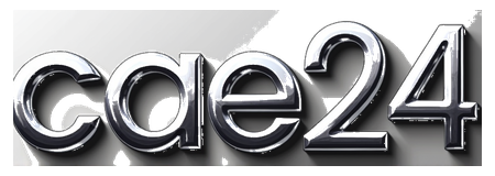 cae24 logo